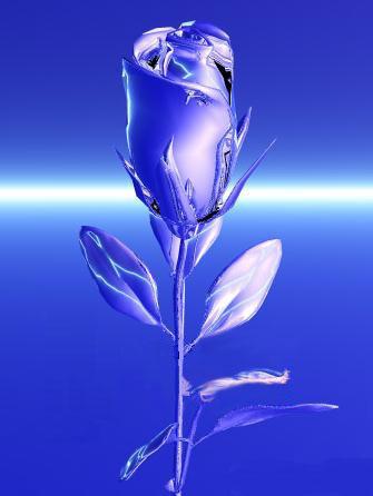 rose azur